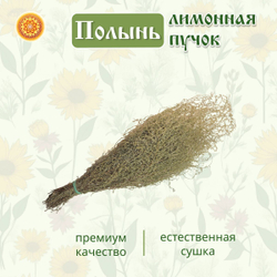 Полынь лимонная пучок, 1 шт.  ПЛПЧ-00-001