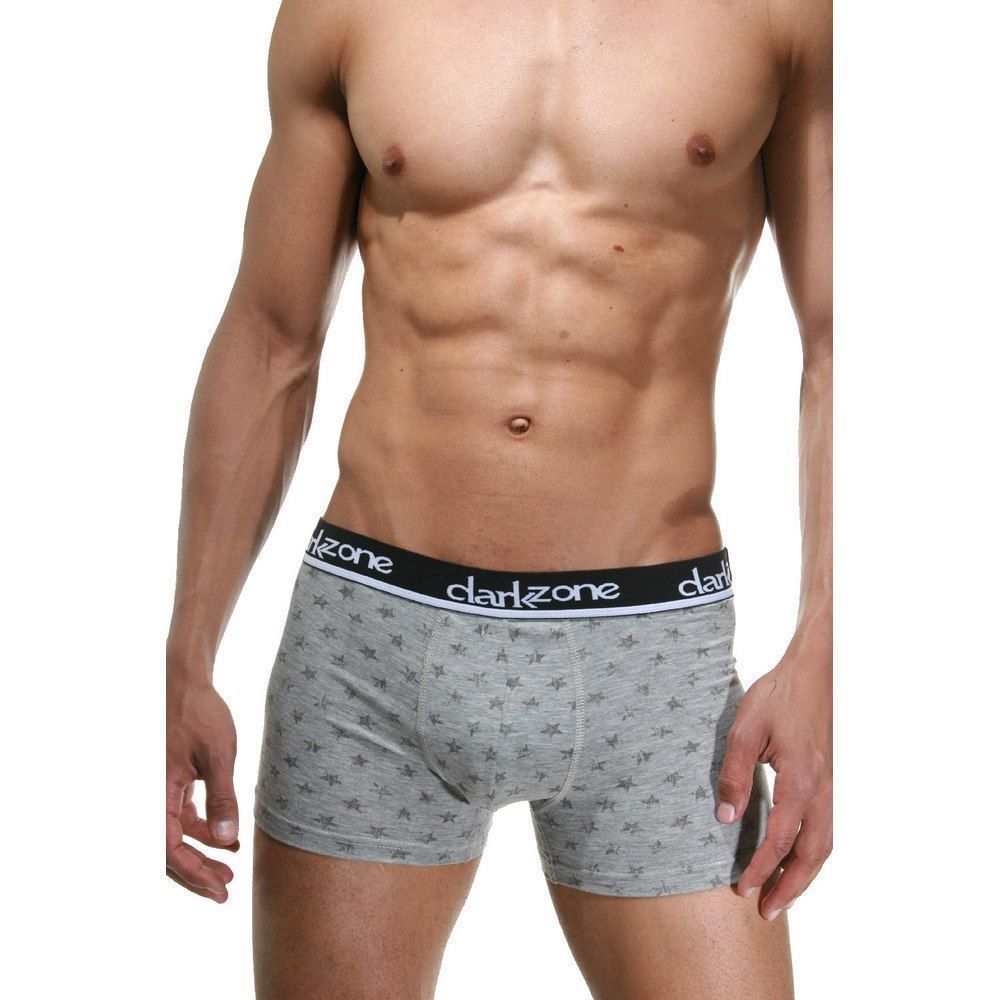 Трусы мужские боксеры серые DARKZONE DZN2309