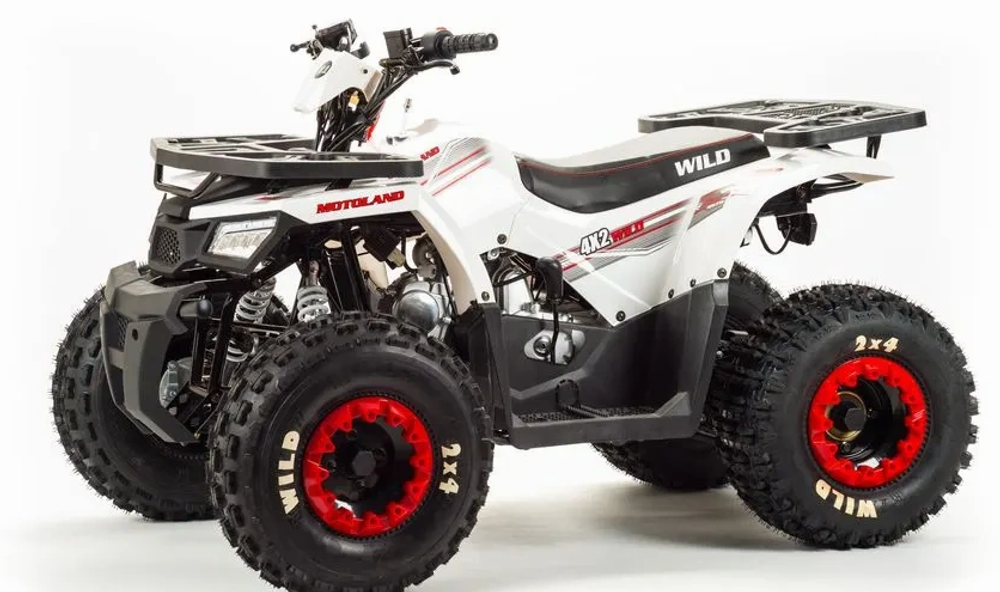 Квадроцикл MOTOLAND (МОТОЛЕНД) 125 WILD