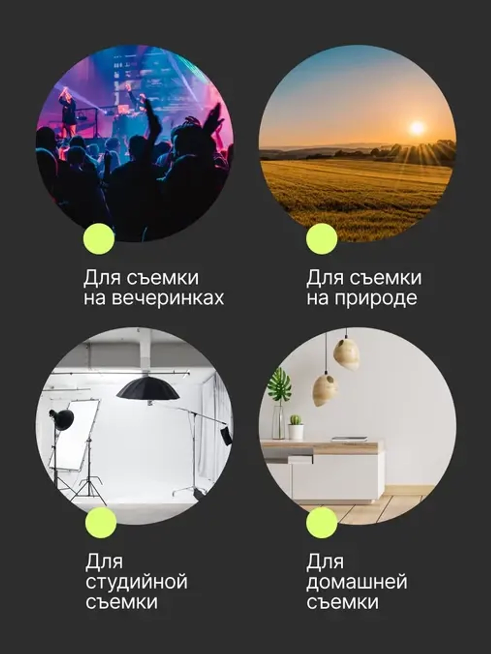 Штатив-монопод Raylab Pro 65 алюминиевый сплав (с головой)