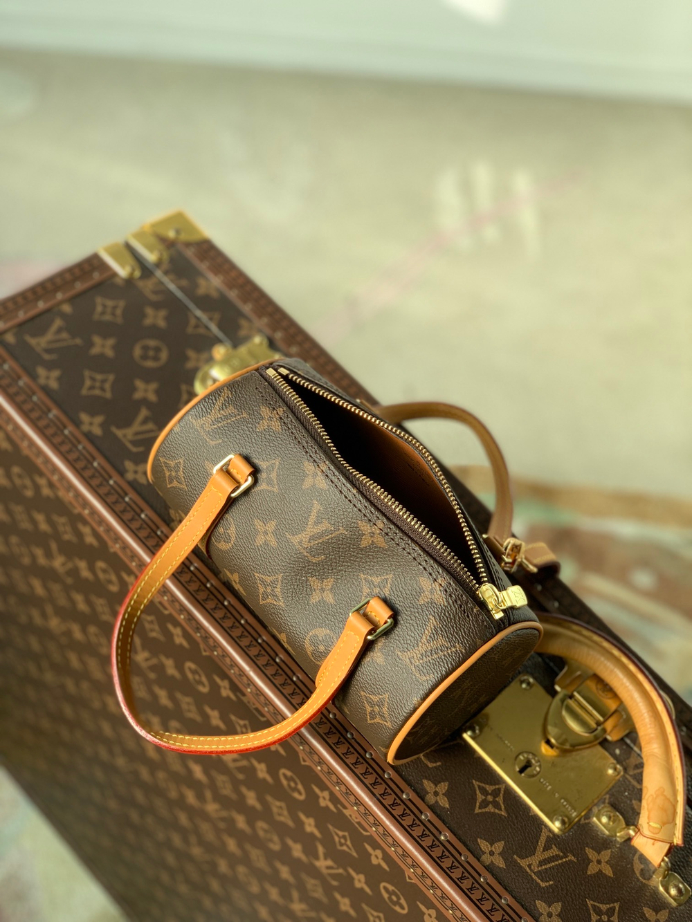 Louis Vuitton Papillon