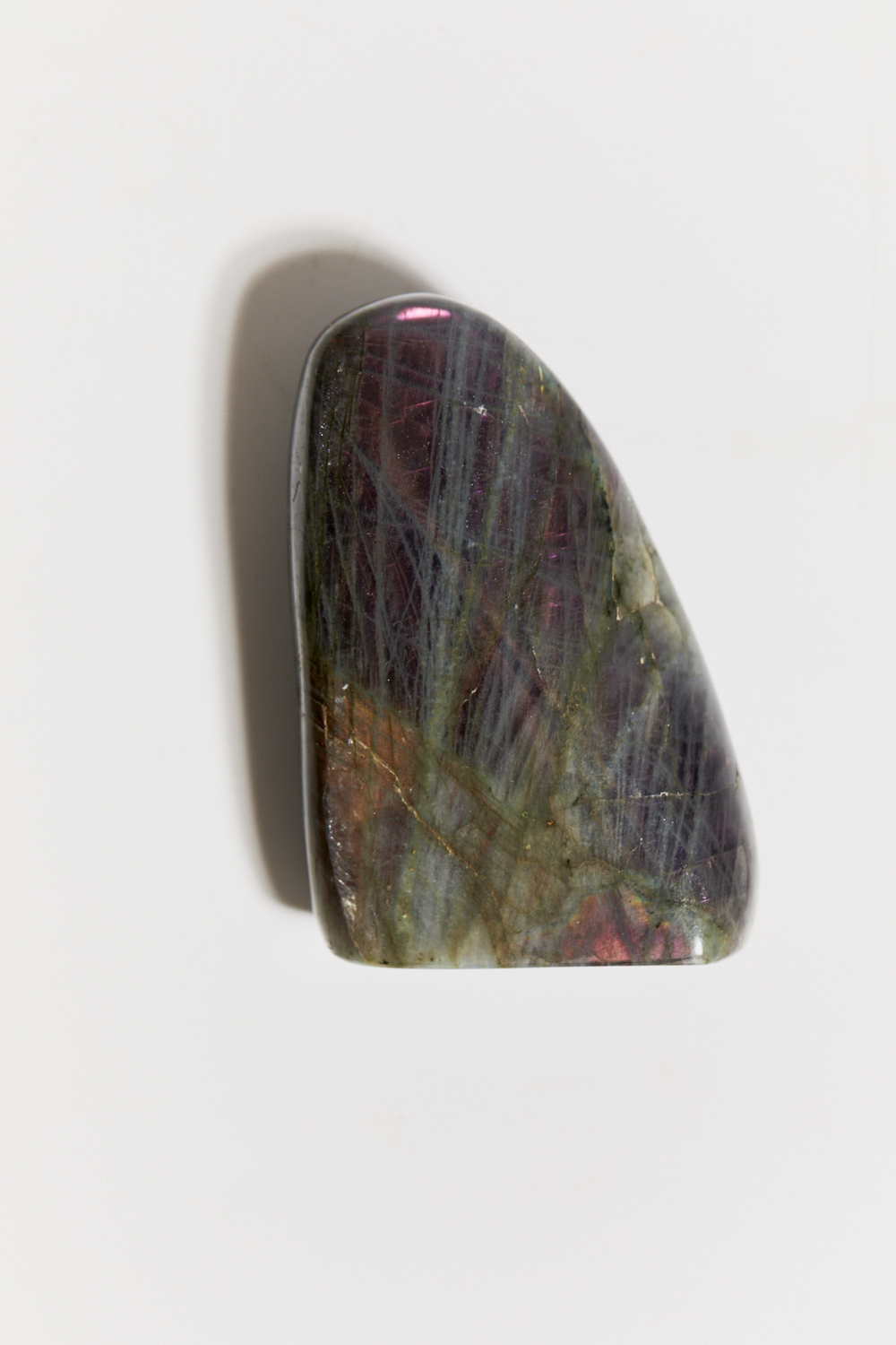 Срез Лабрадора S