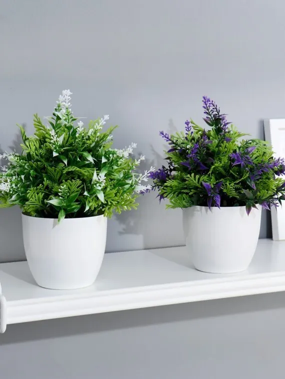 Бонсай в горшке &quot;Куфея пышная&quot; 10*20 см, микс