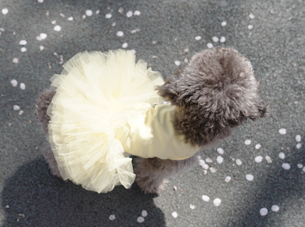 157 PA-DR Платье-пачка "Puppy Angel - TUTU Dress"