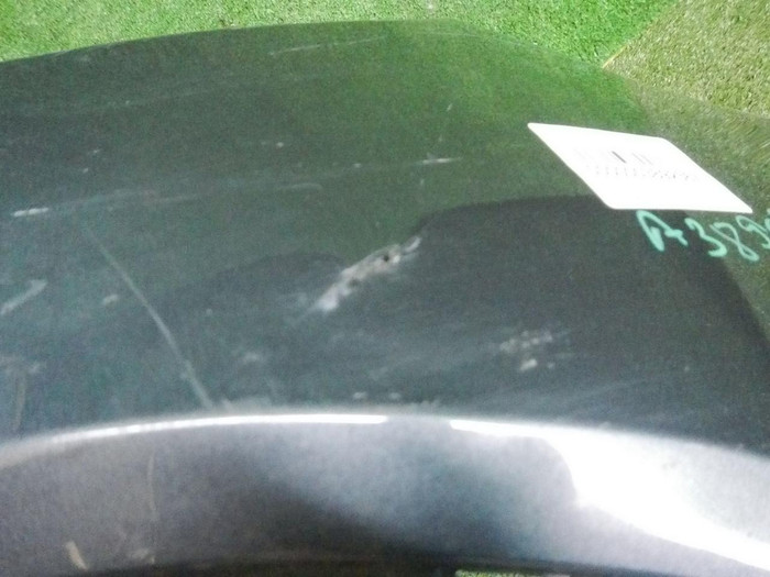DSCN8619.jpg