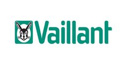 Электрические котлы Vaillant