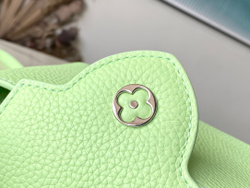 Louis Vuitton Capucines Mini