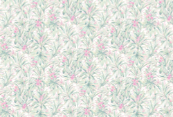 Коллекция Тропическое