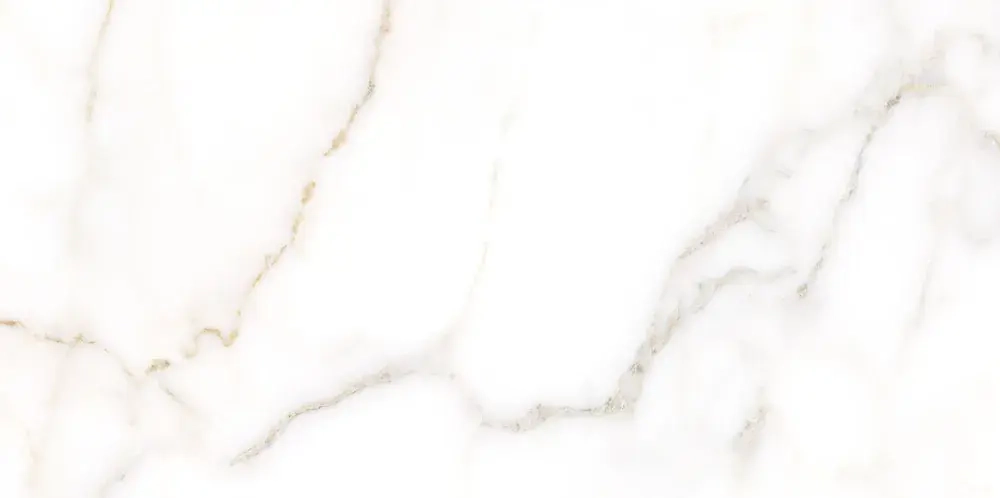 Настенная плитка ALMA Ceramica TWU09GRG007 Grigio 50x24.9 белая глянцевая под камень