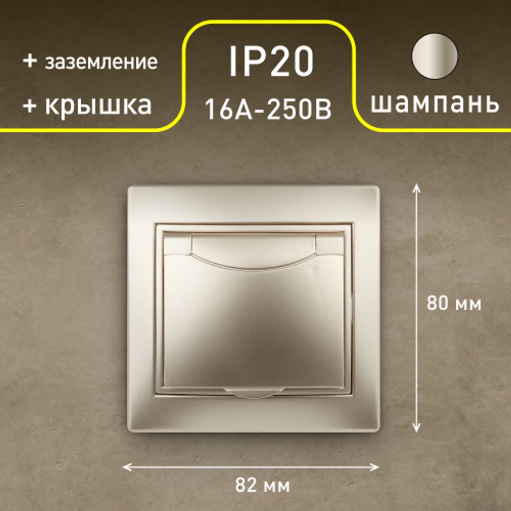 1-203-04 Intro Розетка 2P+E Schuko с крышкой, 16А-250В, IP20, СУ, Plano, шампань