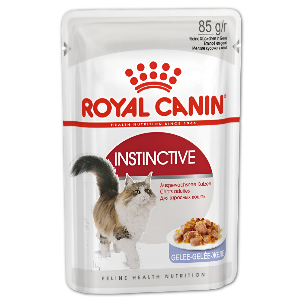 Royal Canin корм консервированный для взрослых кошек кусочки в желе