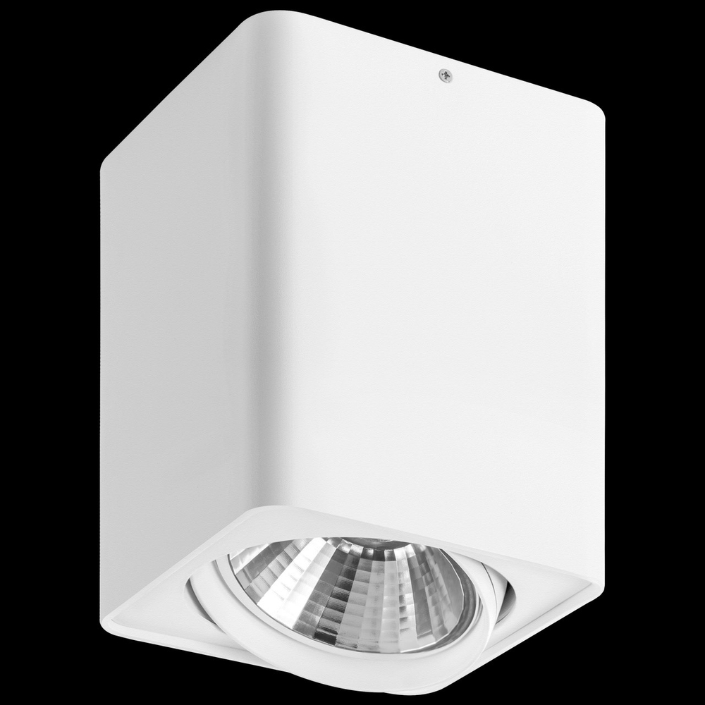 Накладной светильник Lightstar Monocco 212636
