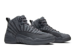 Кроссовки Jordan Air Jordan 12 Retro Psny