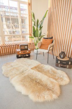 шкура декоративная