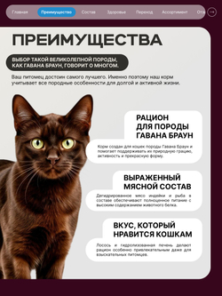 Корм сухой для взрослых кошек породы Гавана Браун, с лососем, 400 гр, QUATTRO