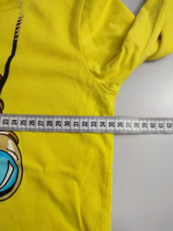 Джемпер Pelican яркий на 5 лет