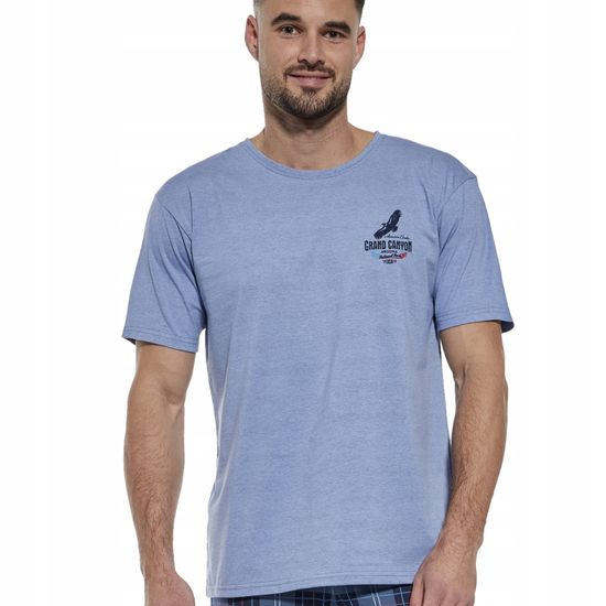 Пижама мужская с коротким рукавом и брюками Cornette 134/165