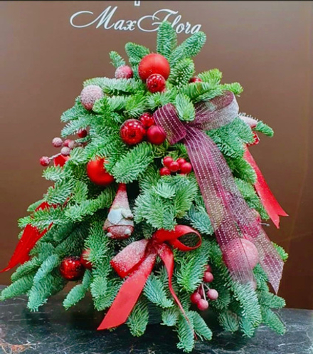 Елочка из Нобилиса НГ-13