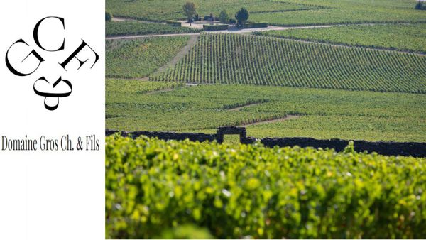 История в каждой капле: семейное наследие Domaine Gros Ch. &amp; Fils