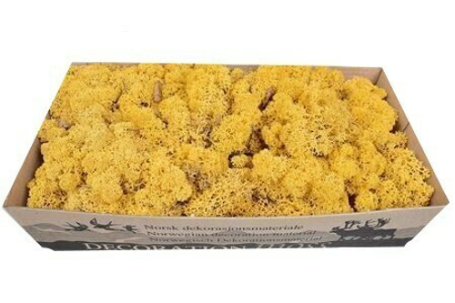 Мох ягель "Decoration" желтый