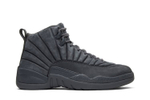 Кроссовки Jordan Air Jordan 12 Retro Psny