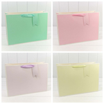 Пакет подарочный 45х32х15см Премиум однотонный в рамке (Микс)