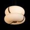 Подвесной светильник Loft IT Bolina 10473P