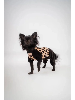 Комбинезон костюм для собак и кошек