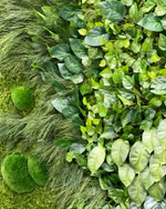 21.02. Вертикальное озеленение искусственными и стабилизированными растениями и мхом.