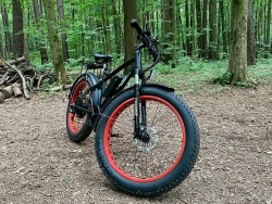 Электрофэтбайк Elbike Phantom Elite (Черный)