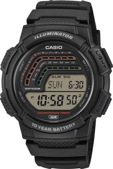 Мужские наручные часы Casio WS-1800-1A