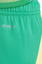 Шорты adidas Tiro 24 Training - зеленый