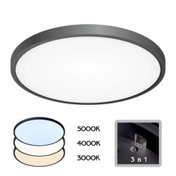 Citilux Бейсик CL738321V Светильник накладной Чёрный