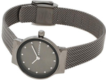 Женские наручные часы Skagen SKW2700