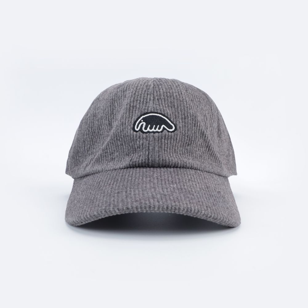 Кепка Anteater 6Panel (velvet-grey)