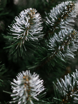 Ель искусственная «Карпатская» белые кончики/елка/сосна