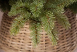 Ель Лесная красавица голубая 230 см., леска+пвх, Triumph Tree (73457)