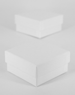 Футляр «Алиса» под значок