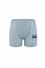 Боксеры для мальчиков 3371 р.110 (5-6 лет) в ассорт. (BAYKAR)