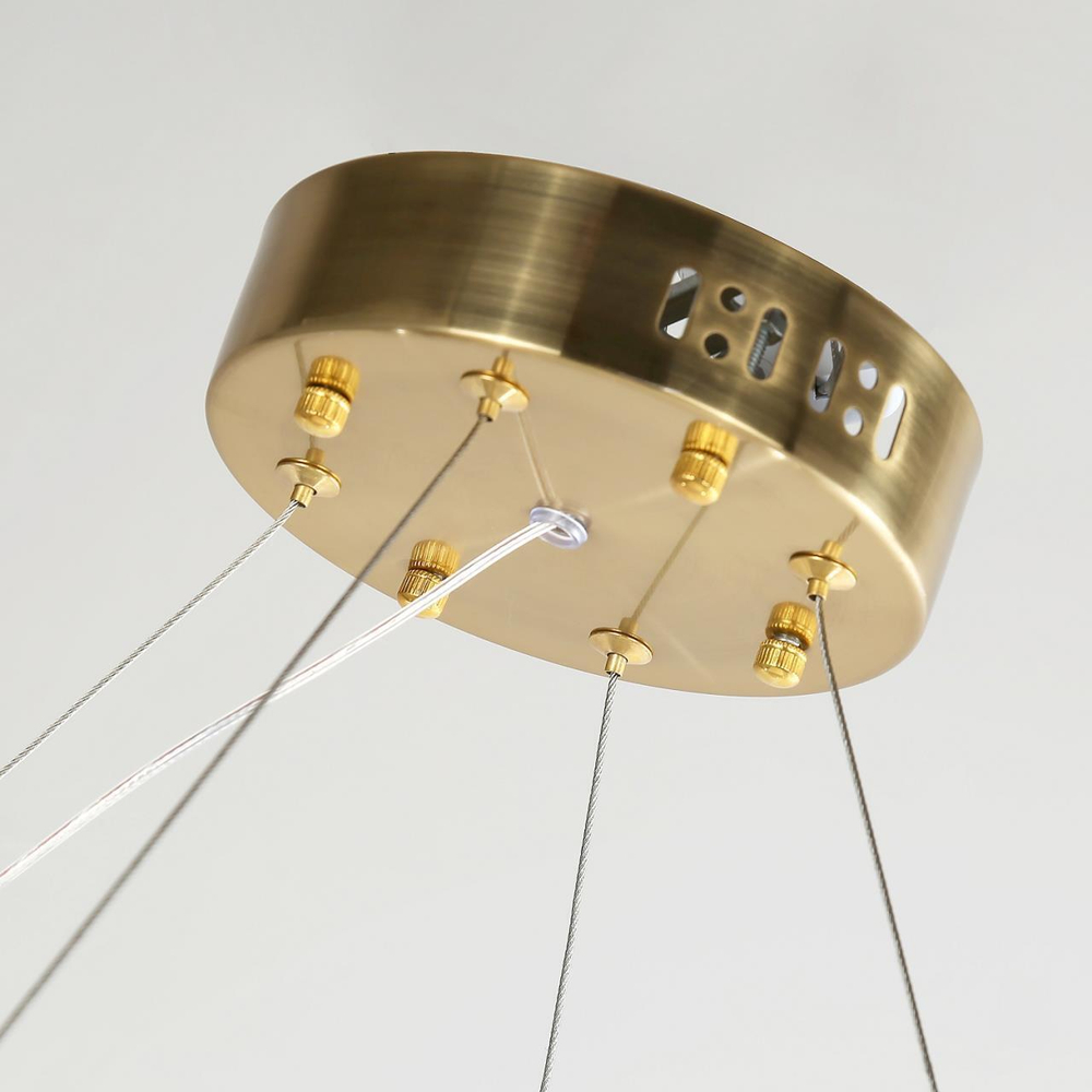 Подвесная светодиодная люстра Favourite Placerat 4012-10P