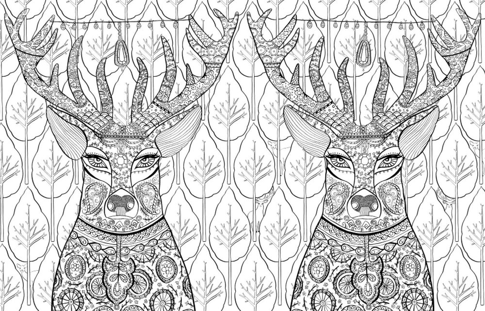 Комплект "Книга джунглей. Альбом для творчества и вдохновения + карандаши"