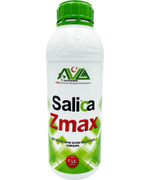 Salica zmax