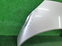 Капот Renault Scenic 2 (2003-2009)