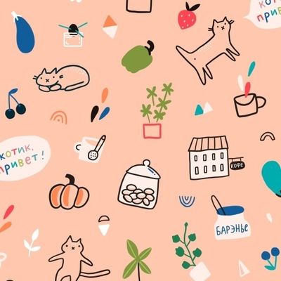 Котики, печеньки, кофе и скейтборд! И много чего еще.