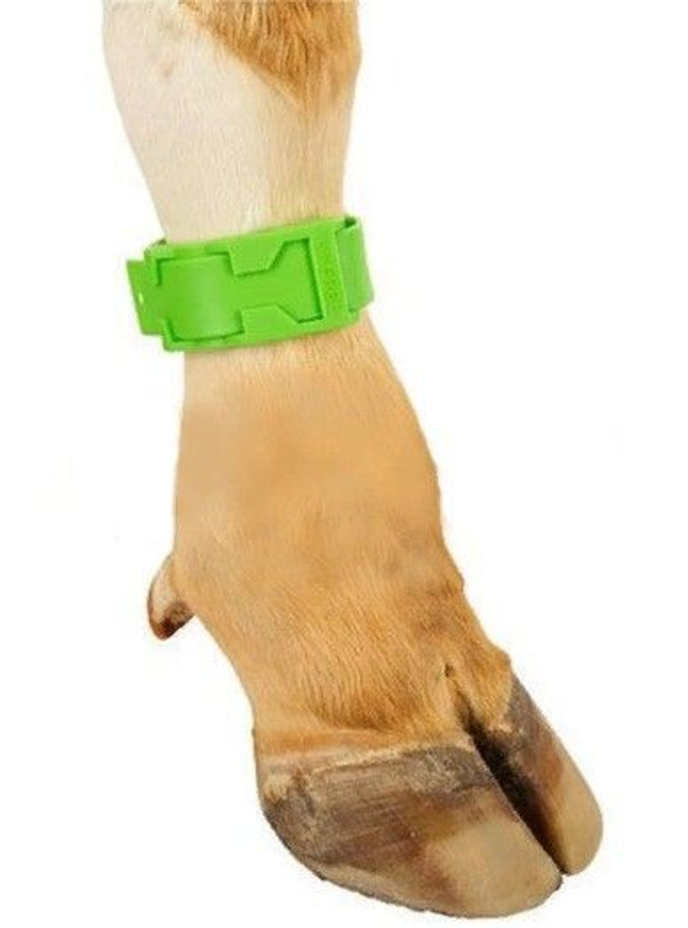 Ножные ленты Банды КРС, зеленые, 10 шт