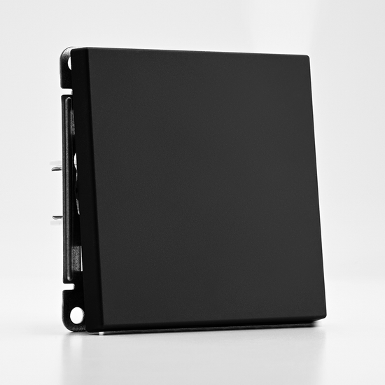 Выключатель кнопочный 1-кл. ArtGallery 10А механизм карбон SE GAL001015