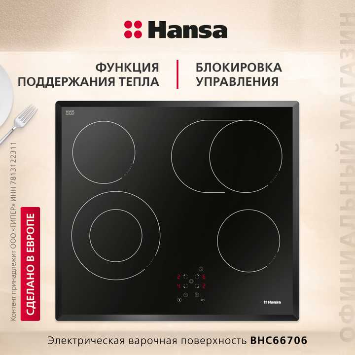 Электрическая панель Hansa BHC66706