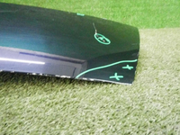 DSCN7813.jpg