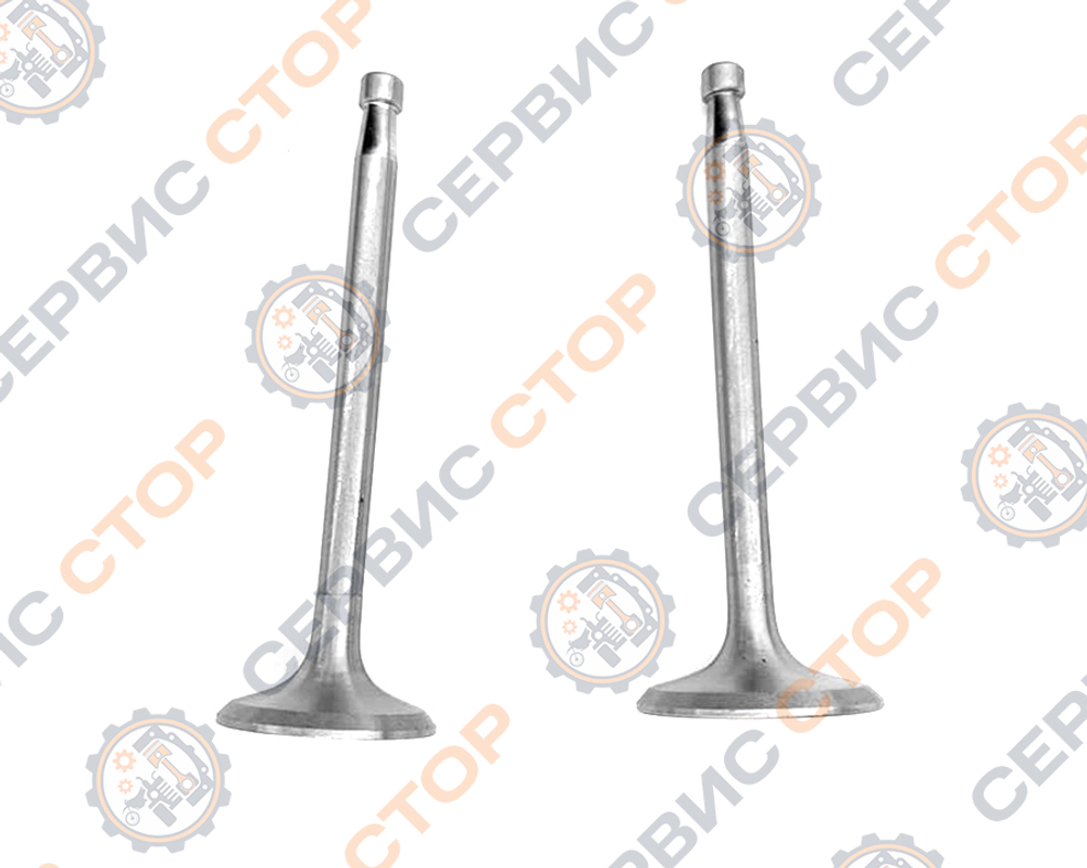 C119-ZS1100-RT-2