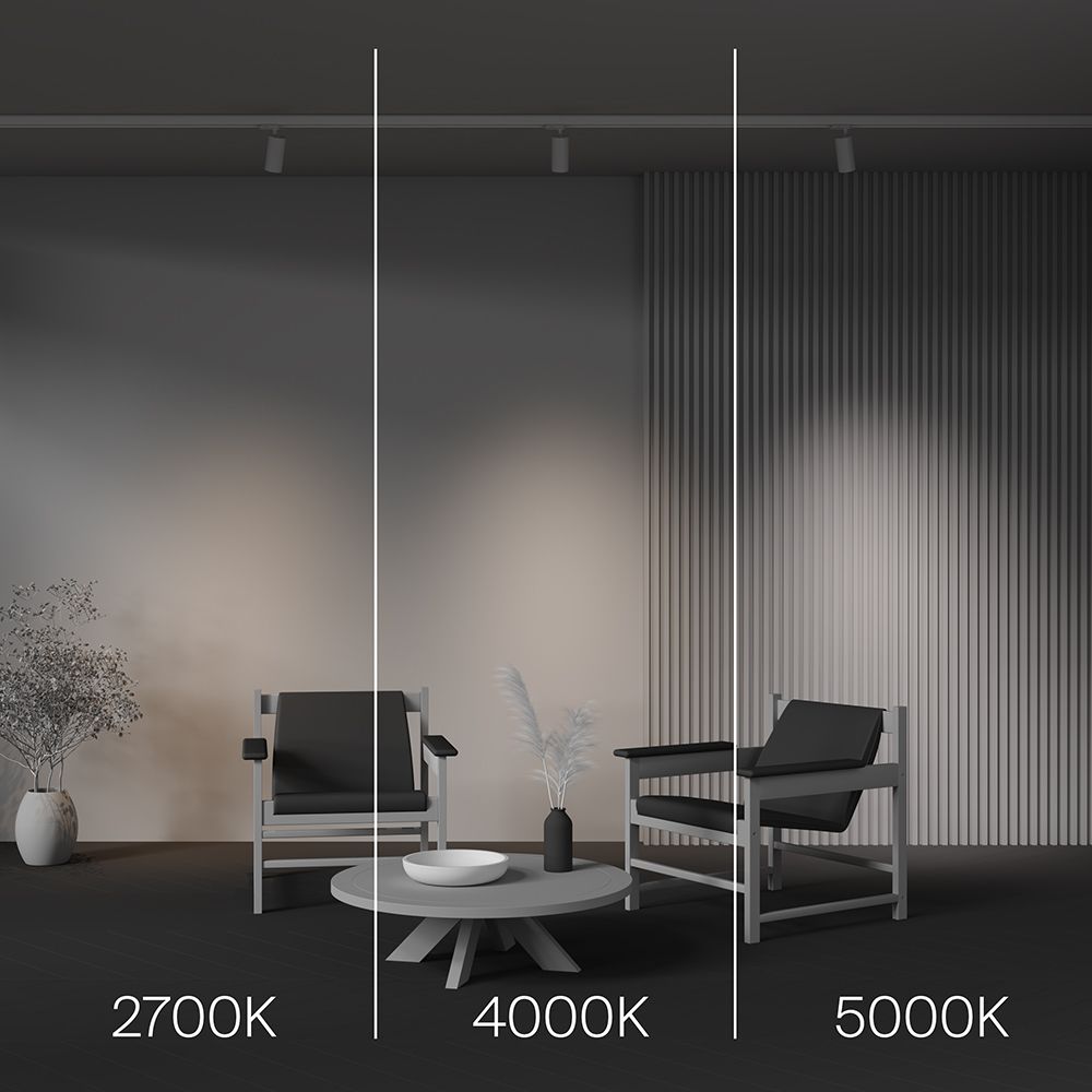 Трековый трехфазный светодиодный светильник Maytoni Trinity   TR197-3-12WCCT-M-W